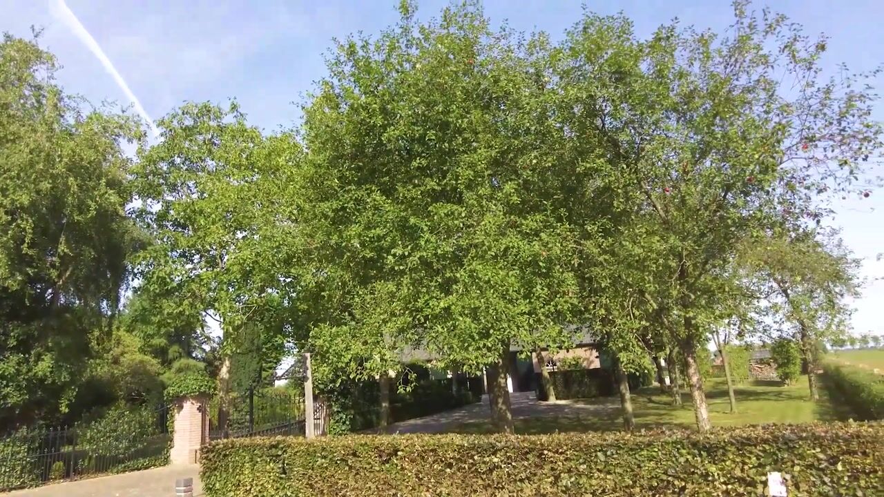 Video van Kruisstraat 26