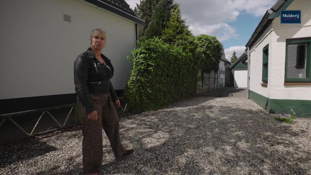Video van Asselsestraat 224