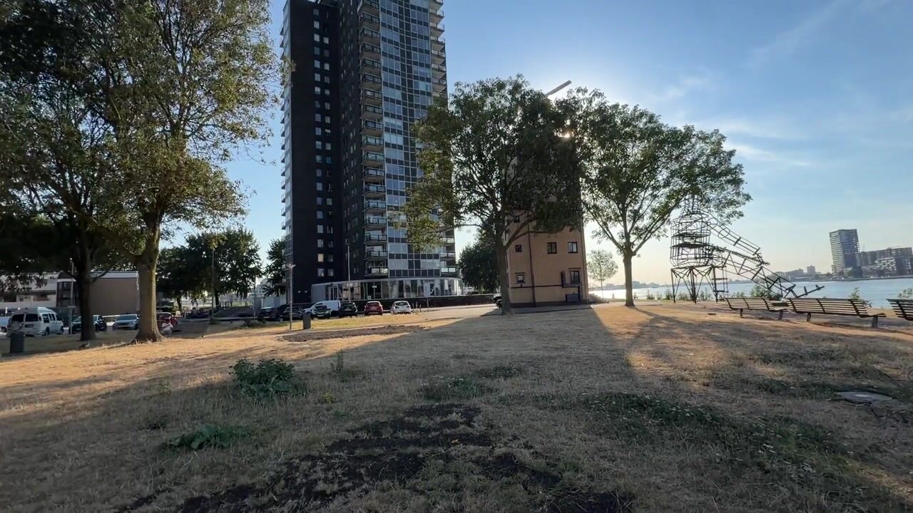 Video van Charloisse Hoofd 83-D