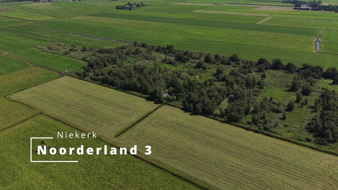 Video van Niekerkerdiep