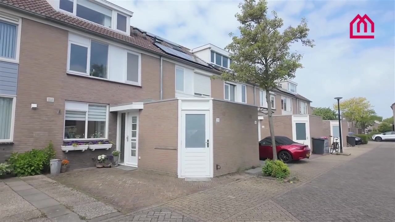 Video of Zilvermeeuw 39