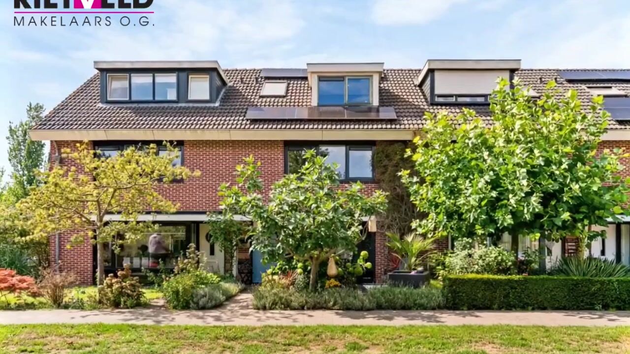Video van Dopheide 3
