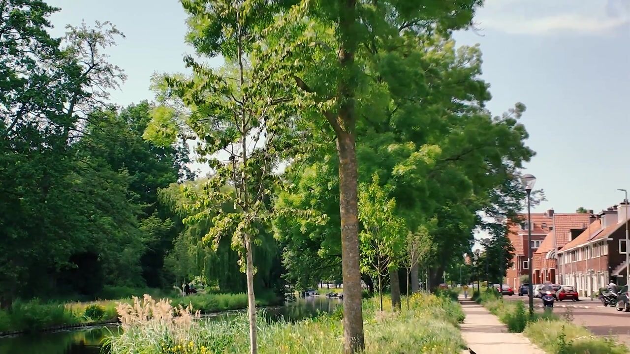 Video of Jan Gijzenkade 199