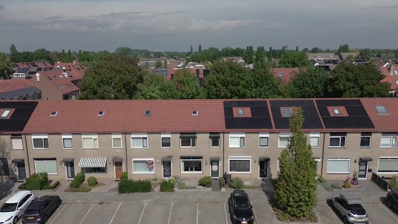 Video van Pimpelmees 24