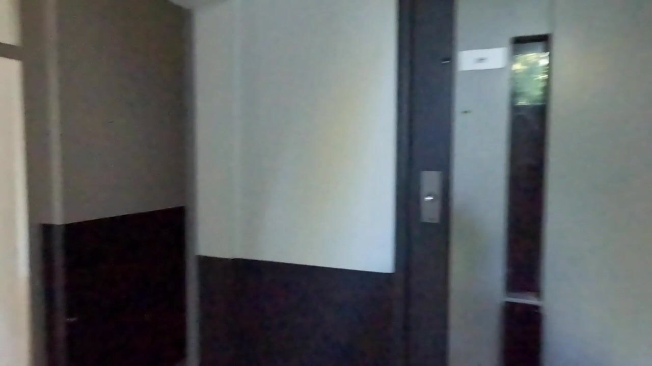 Video of De Zalmen 12