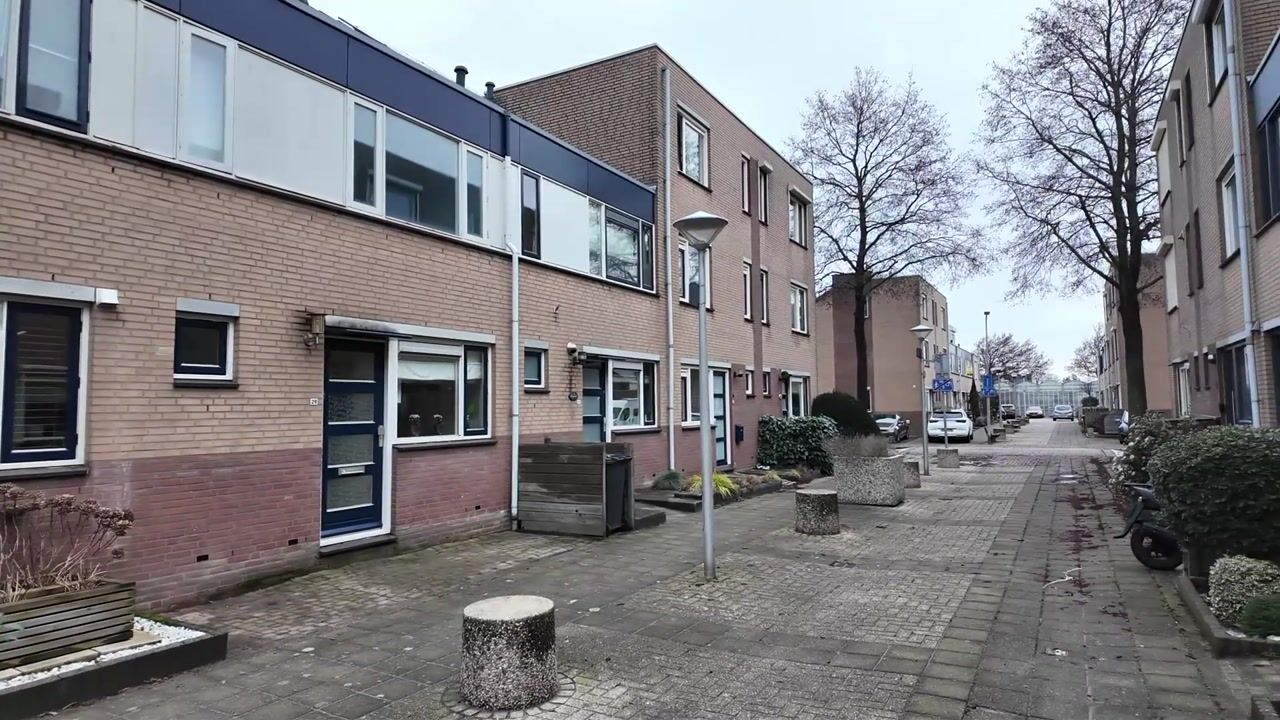 Video van Zilvermeeuw 29