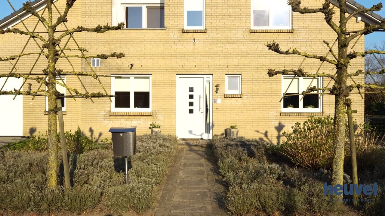 Video van Sint-Janskruid 15