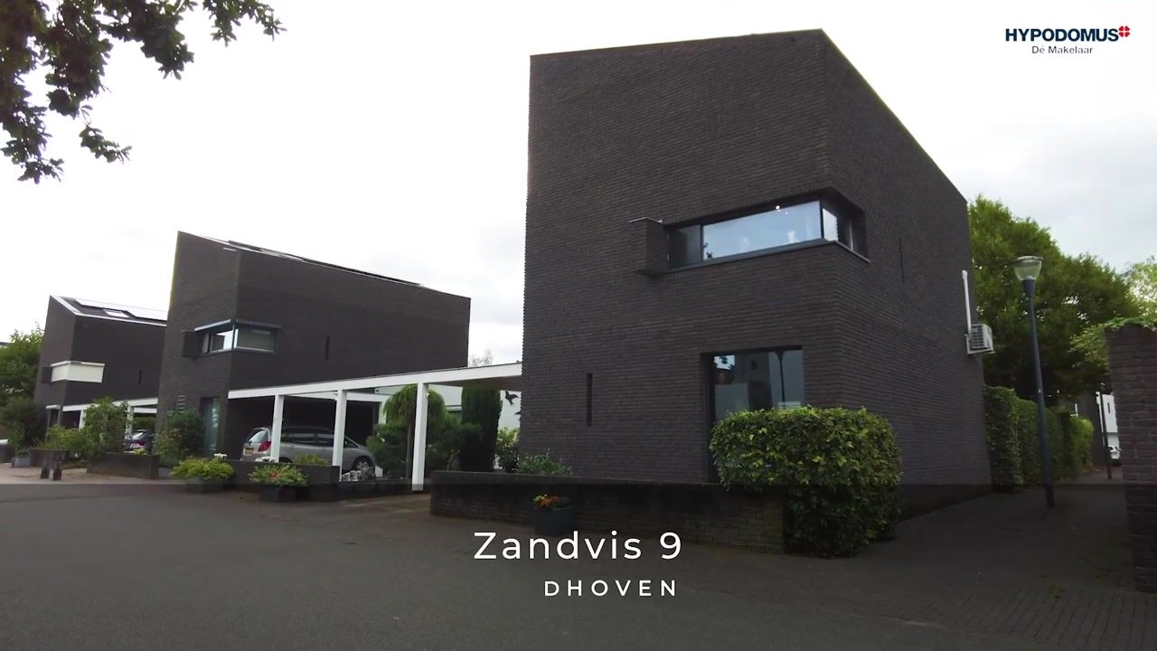 Video of Zandvis 9