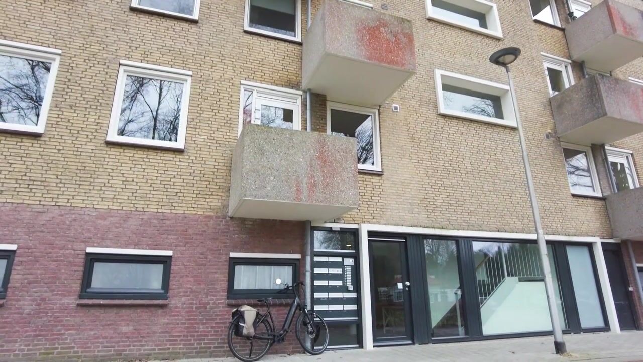 Video van Friezenlaan 196