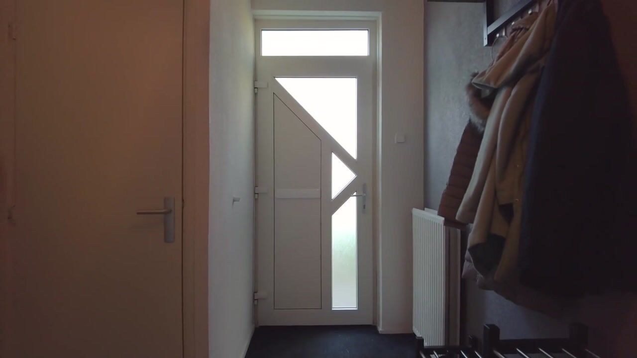 Video of Leeuwerikweg 19