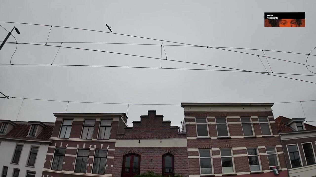 Video van Zieken 171