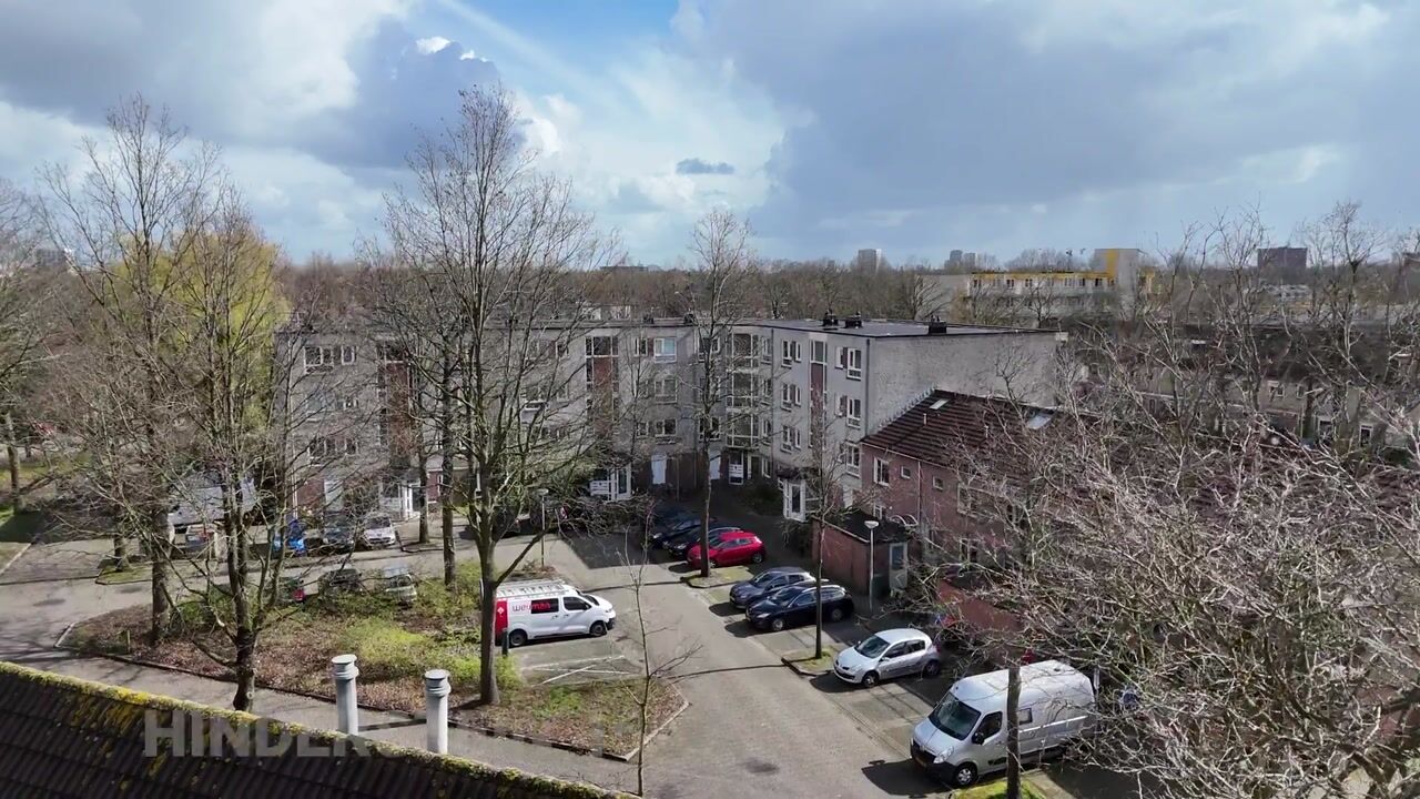 Video of Hinderstein 46