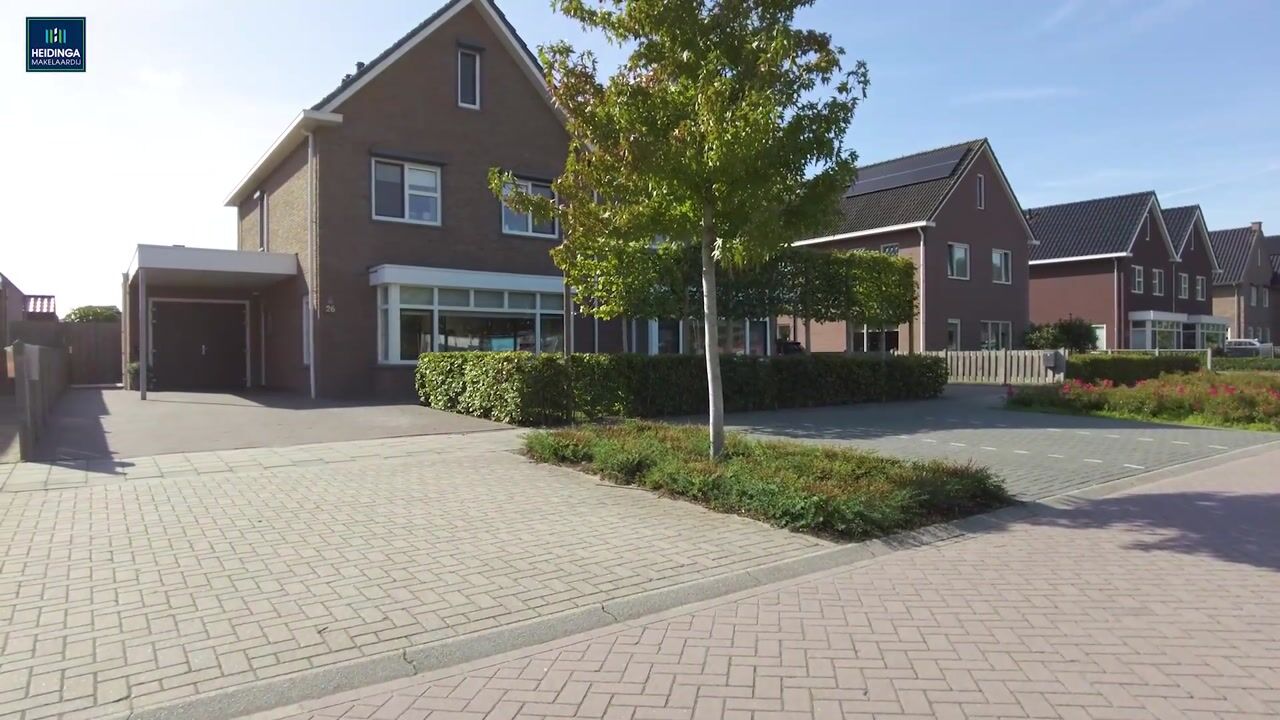 Video van Leeuw 26
