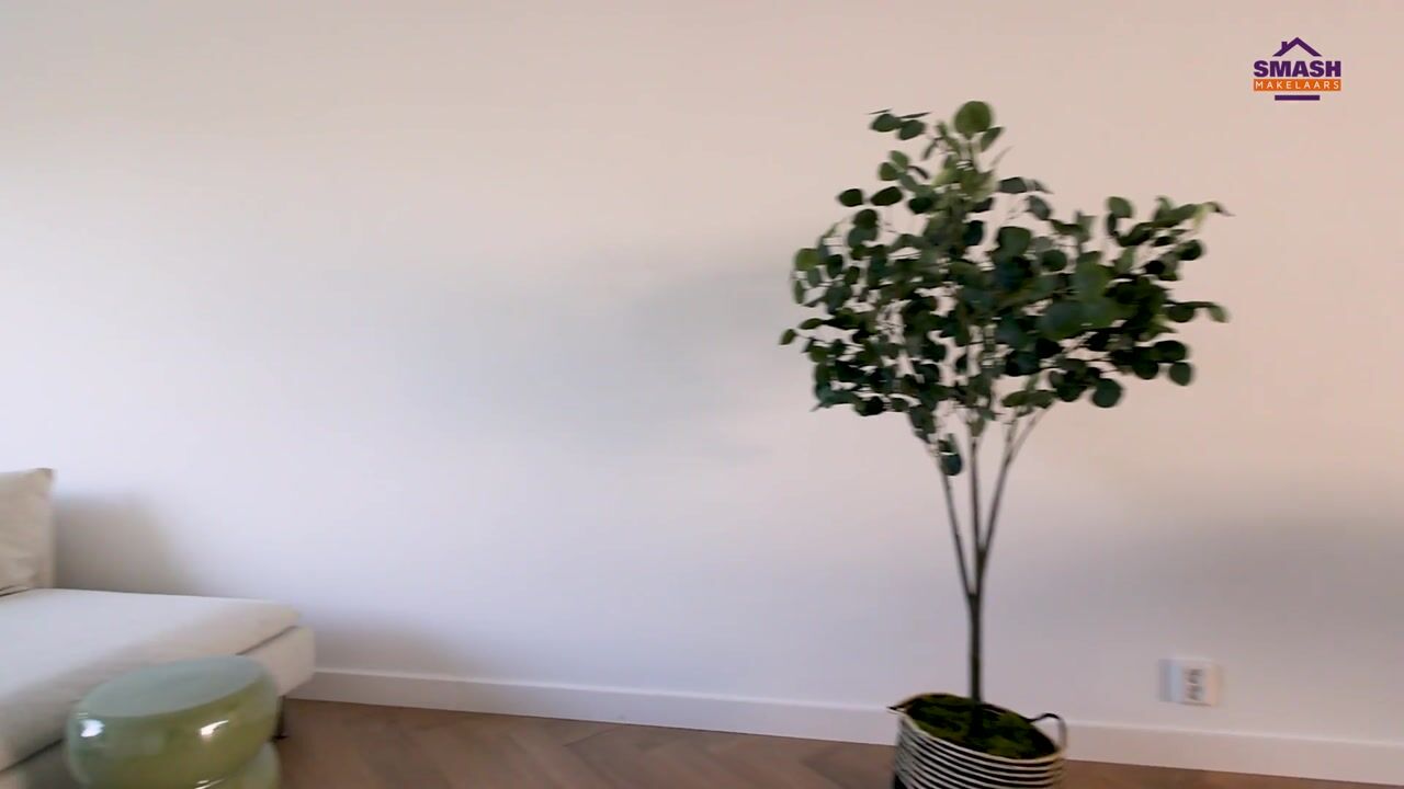 Video van Graaf Adolflaan 2