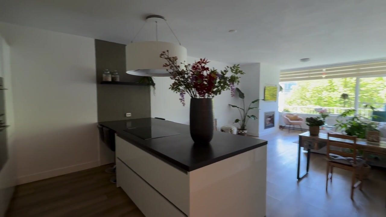 Video of Suzannaland 568