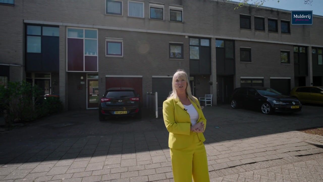 Video van Spadelaan 296
