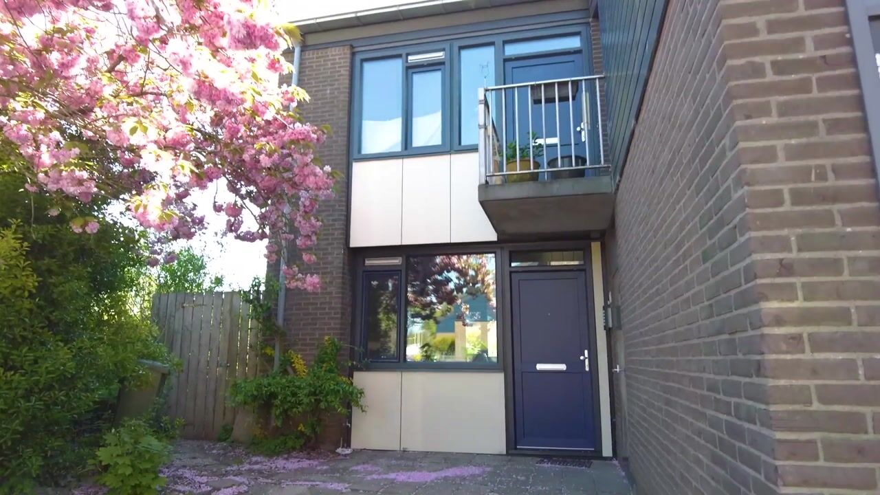 Video van Het Zwanevlot 275