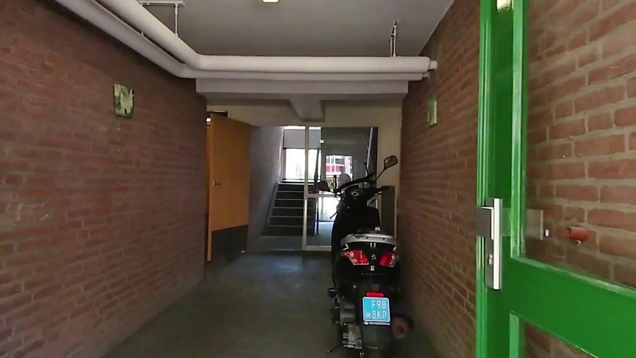 Video of Pollenstein 32