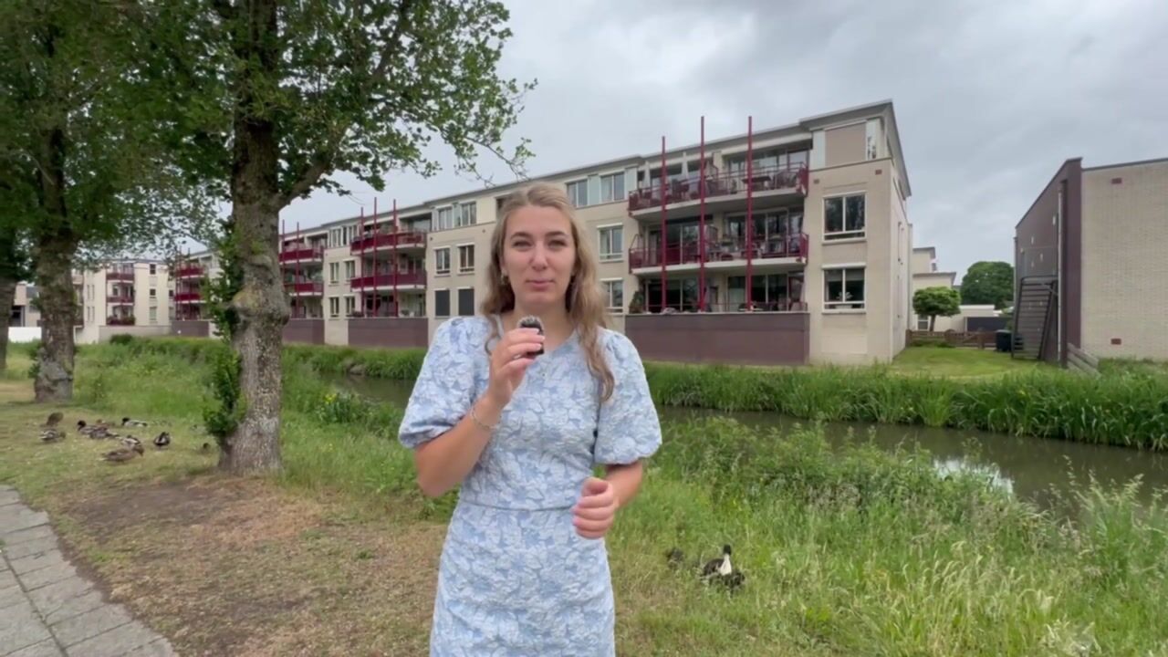Video van Varenkamp 5