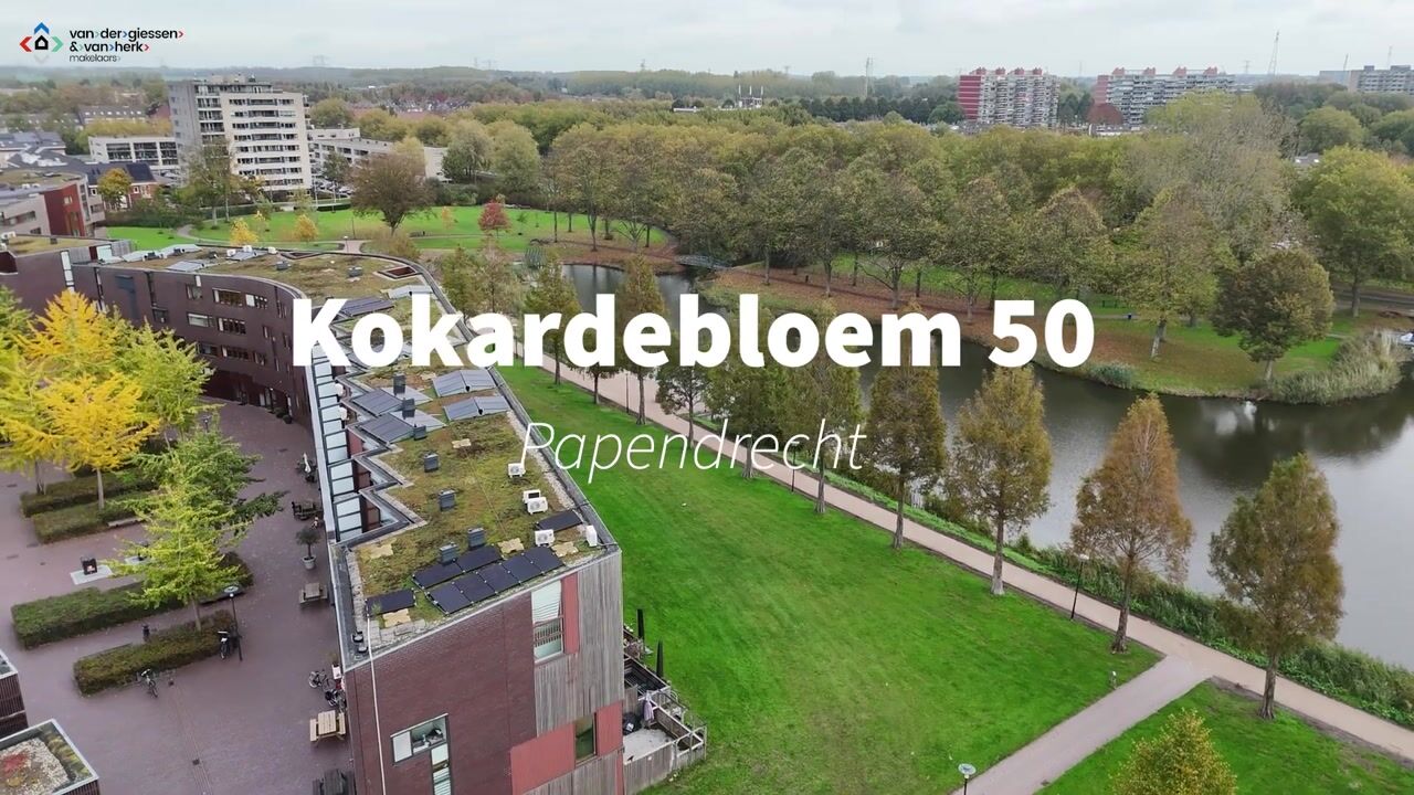 Video van Kokardebloem 50
