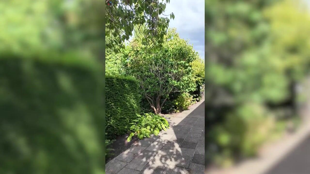 Video van Koningin Wilhelminasingel 21