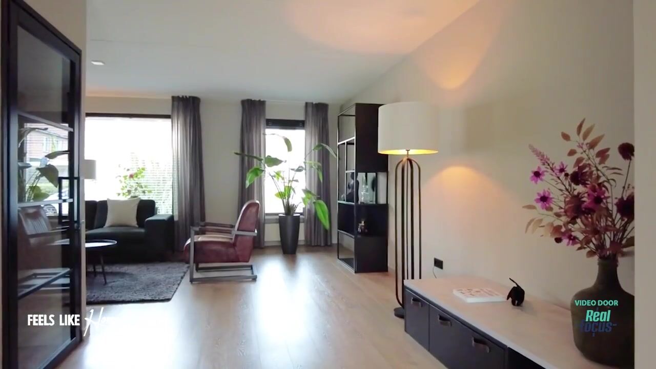 Video of de Havik 13