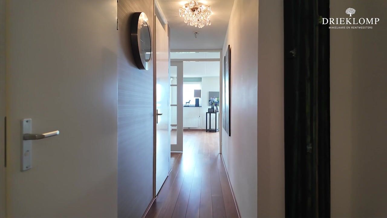 Video of Zijdevlinder 78
