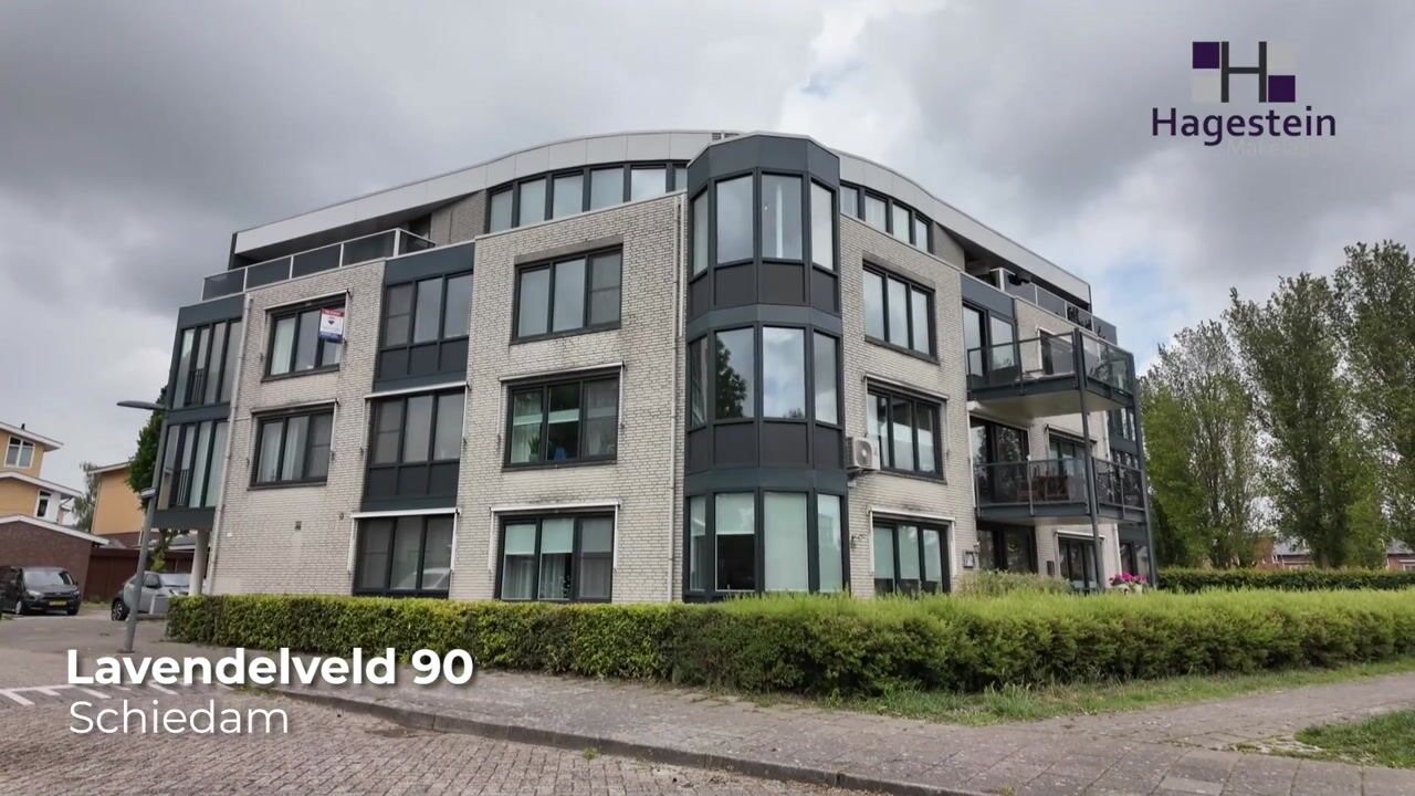 Video van Lavendelveld 90
