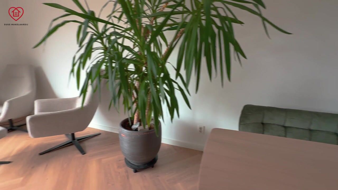 Video of Aegirstraat 10