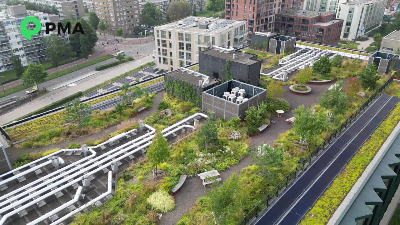 Video of Surinamepad 176