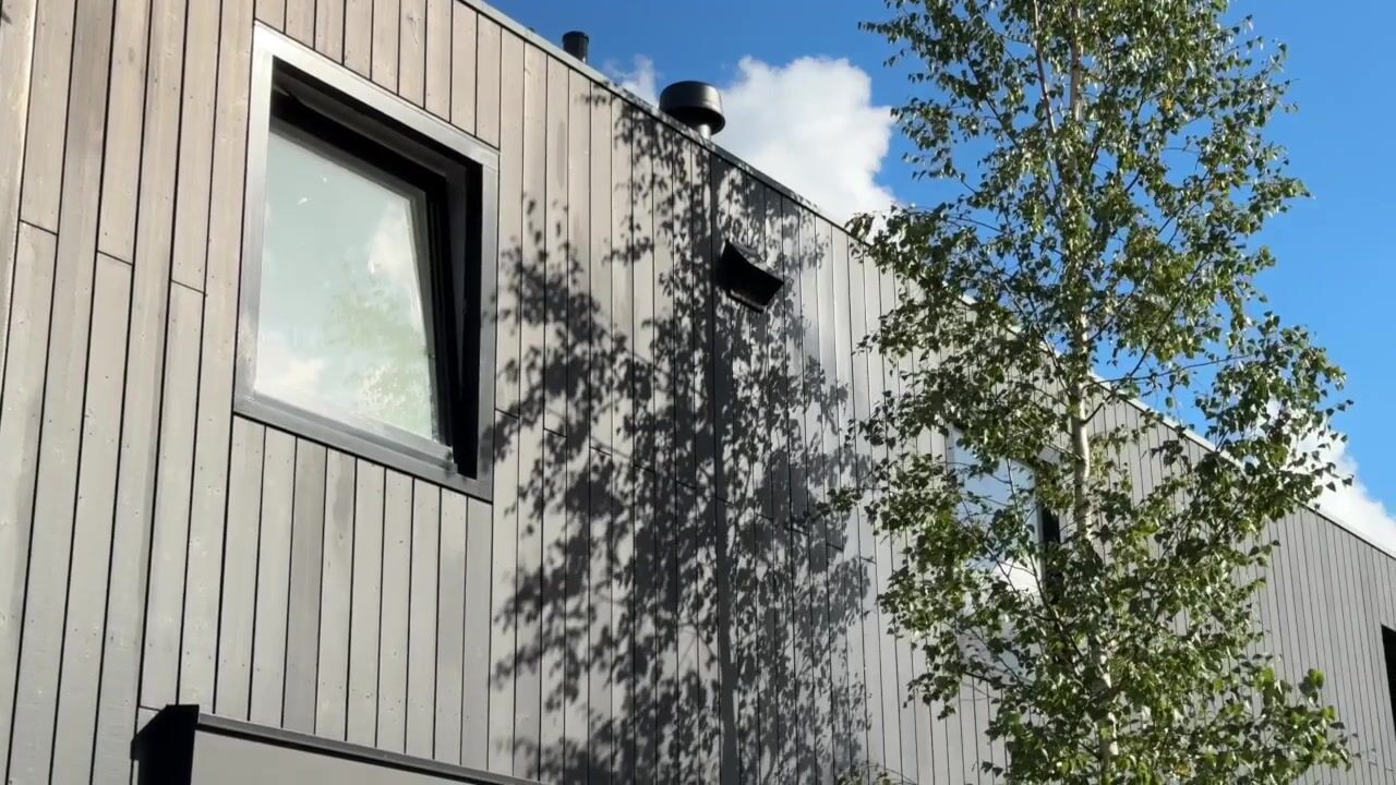 Video van Groene kikker 4