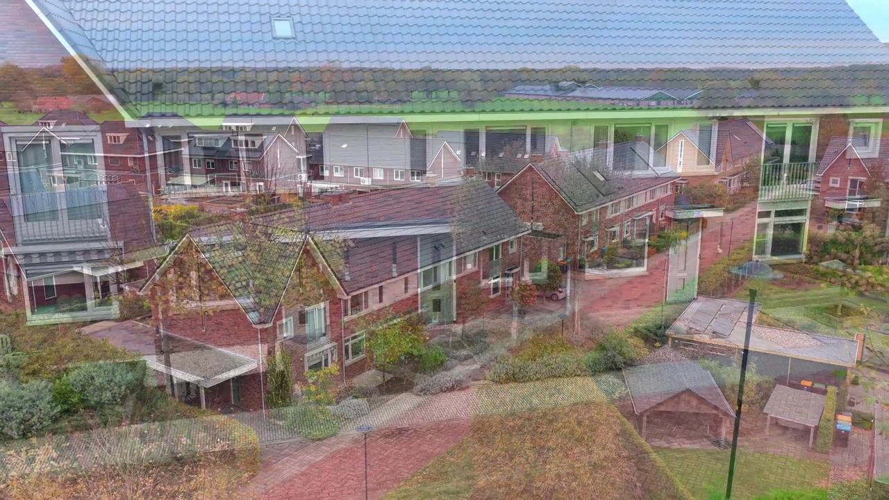 Video of Paardenbloem 6