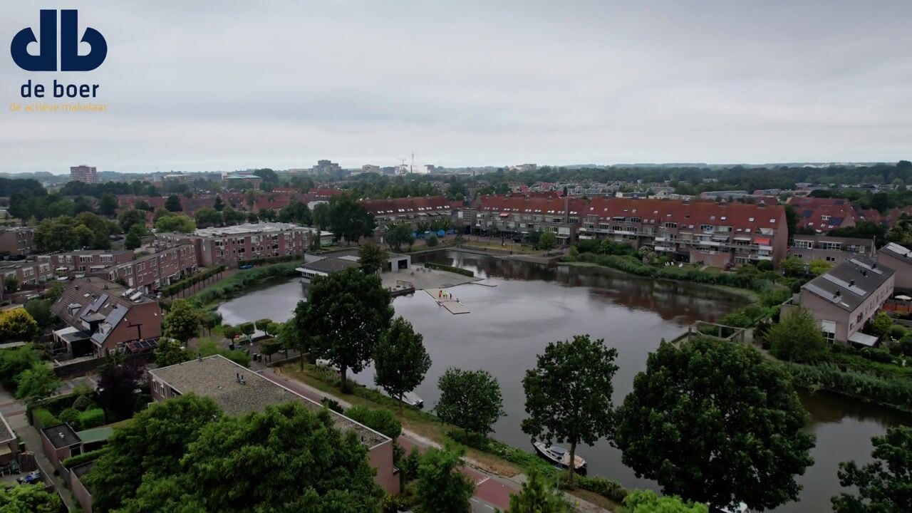 Video van Griend 38 38