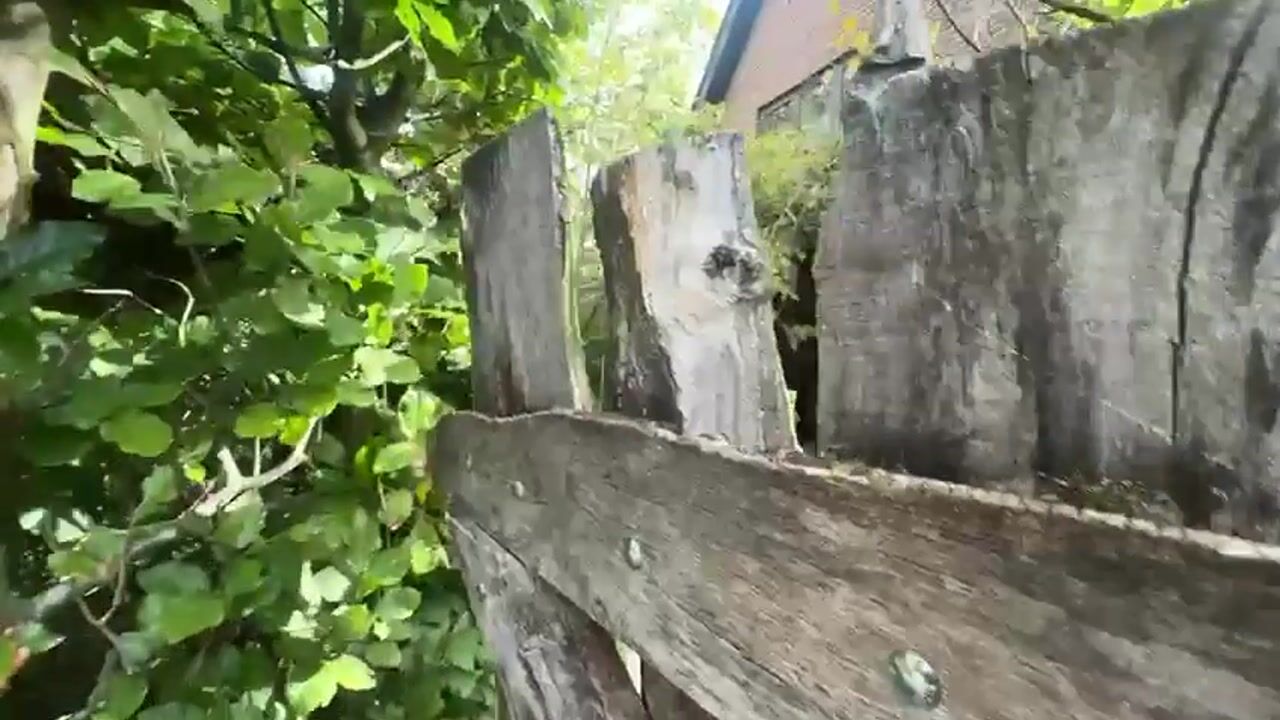 Video van Mosselweg 6