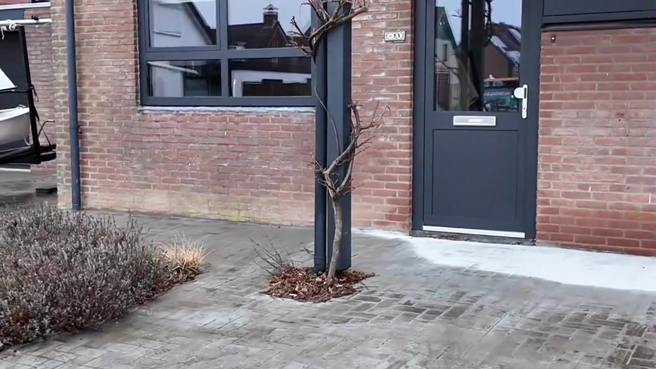 Video van Ripstraat 21