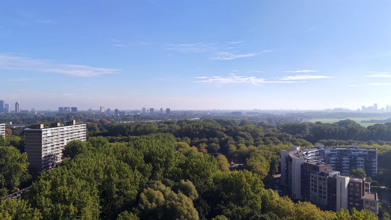 Video van Wamberg 79