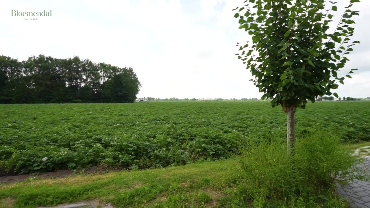 Video van Reininkstraat 11