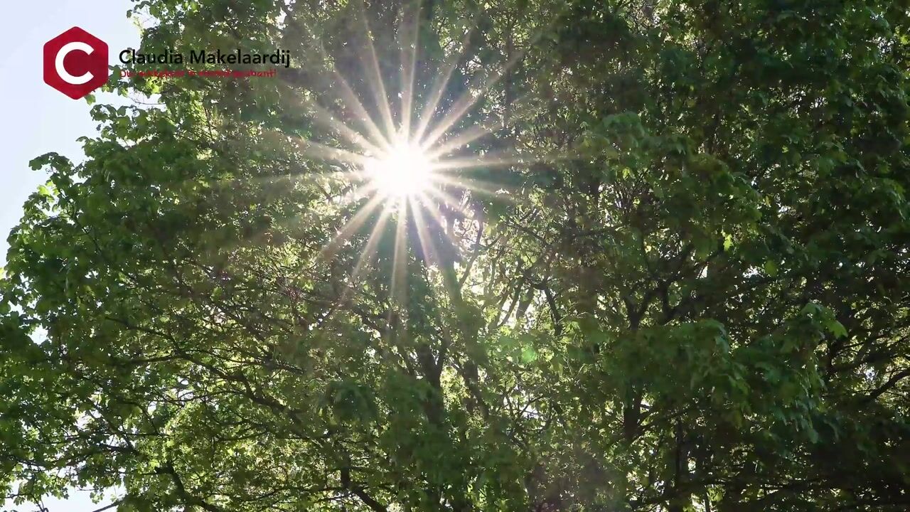 Video van Beiaard 79