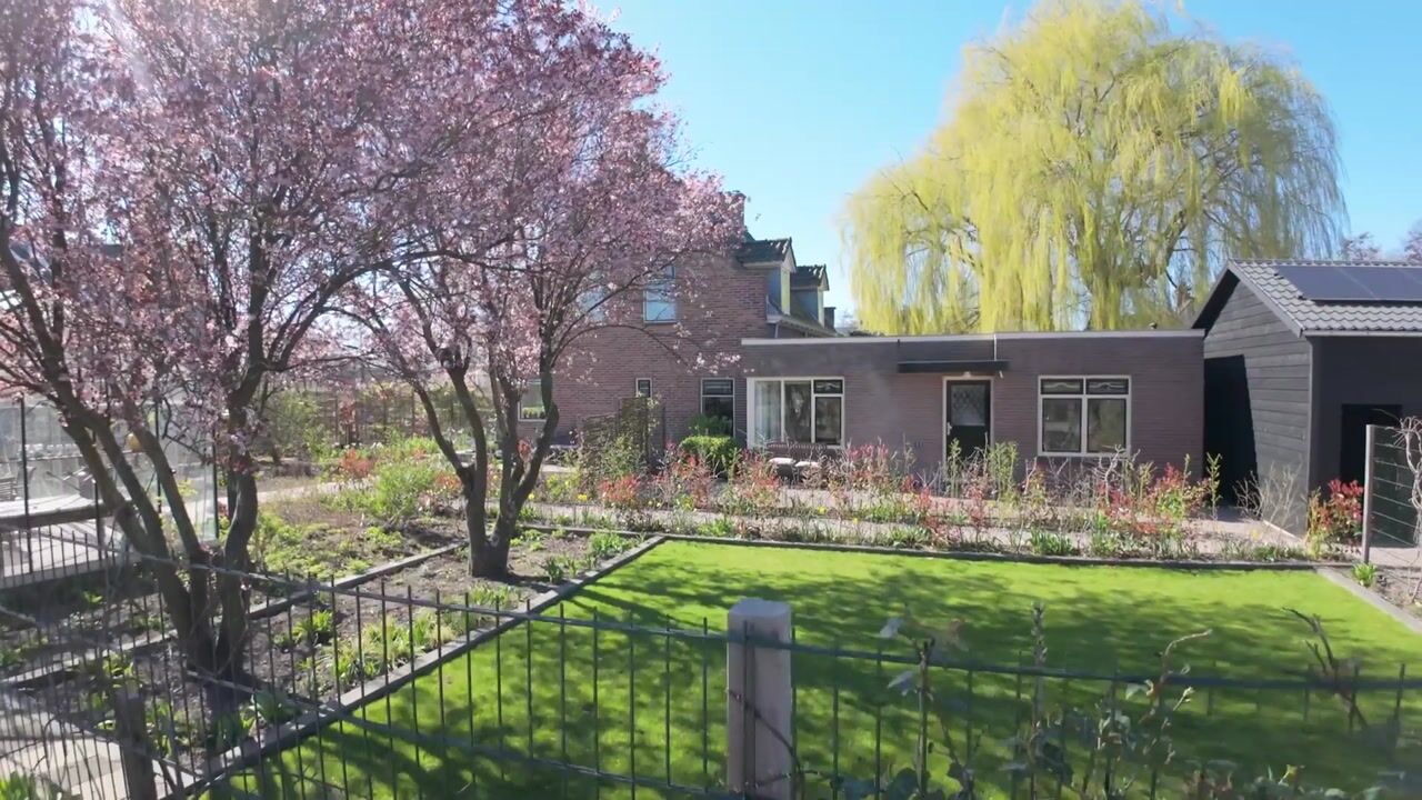 Video van Knoopkruid 54