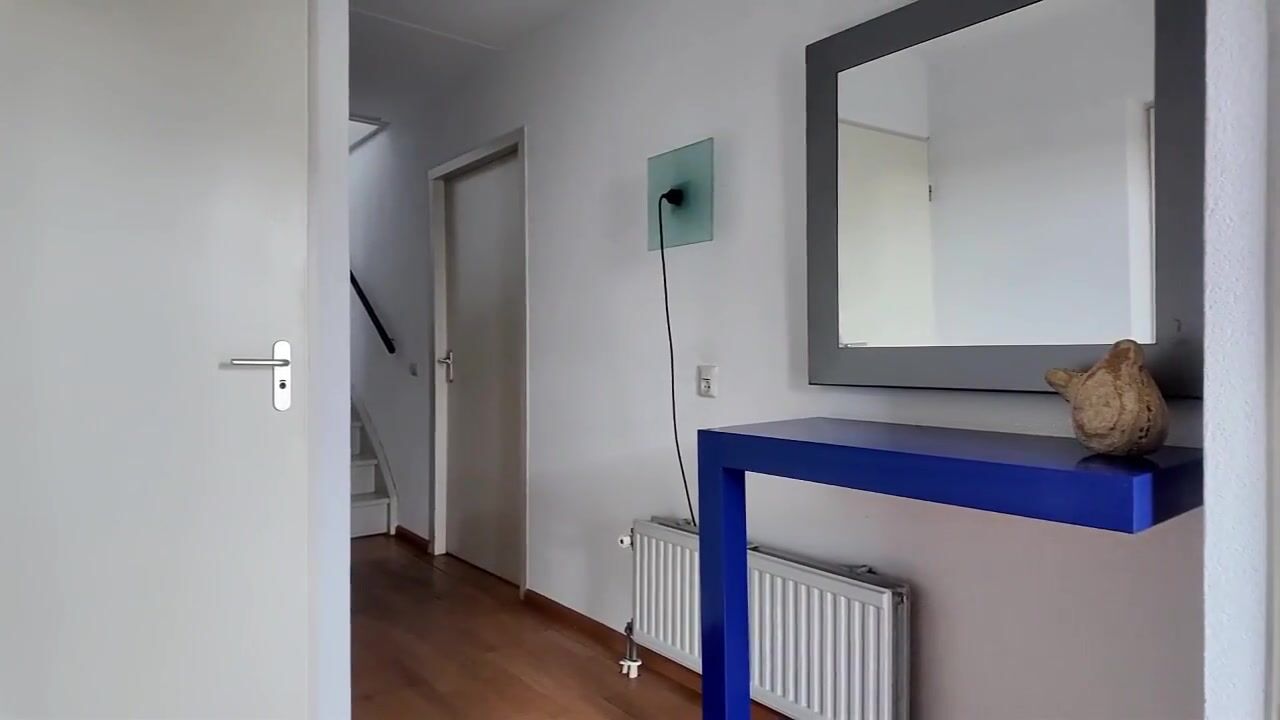 Video van Tinnegieter 11