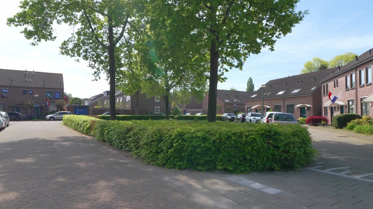 Video van Buitenvaert 19