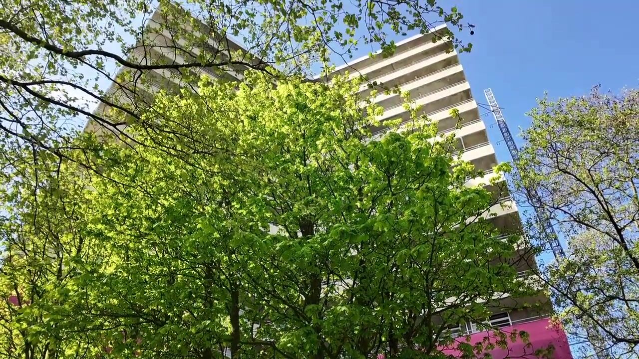 Video van Albardaweg 163
