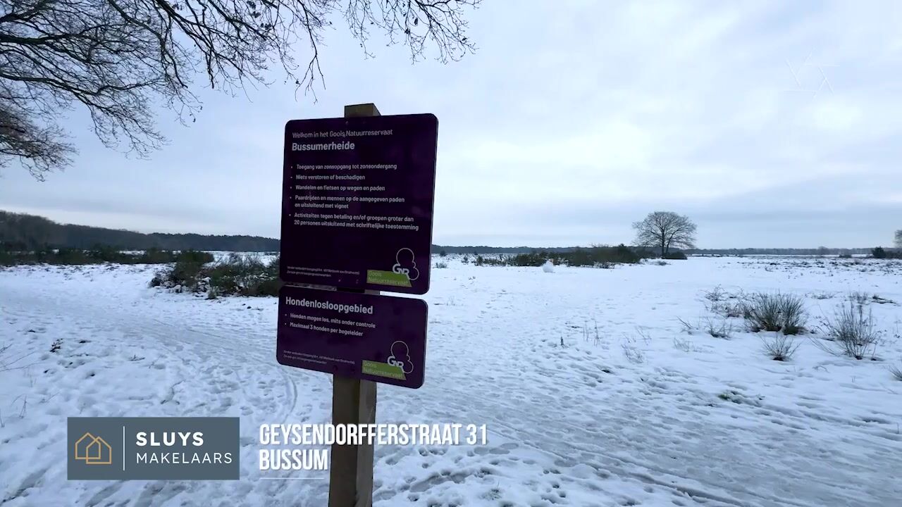 Video van Geysendorfferstraat 31