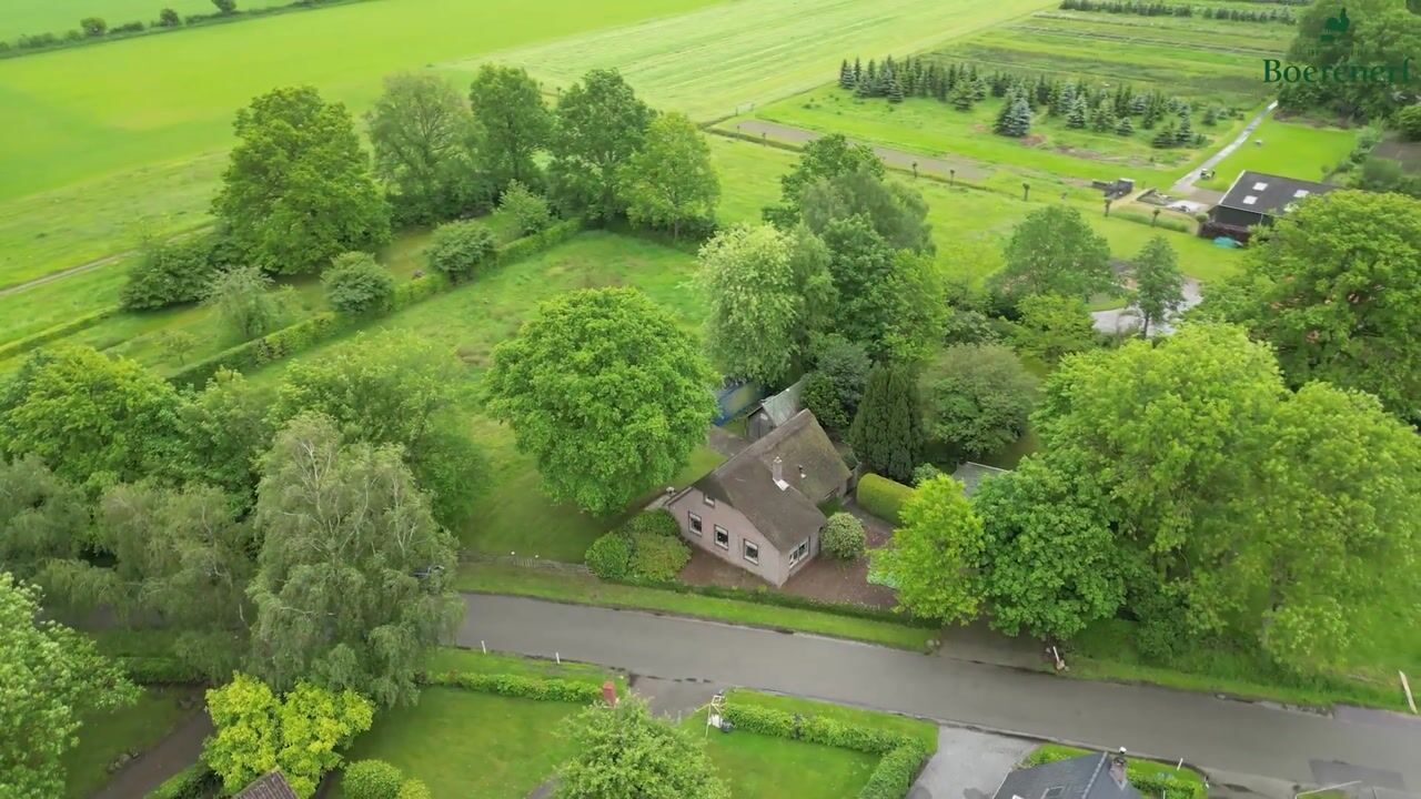 Video van Leeuwte 2
