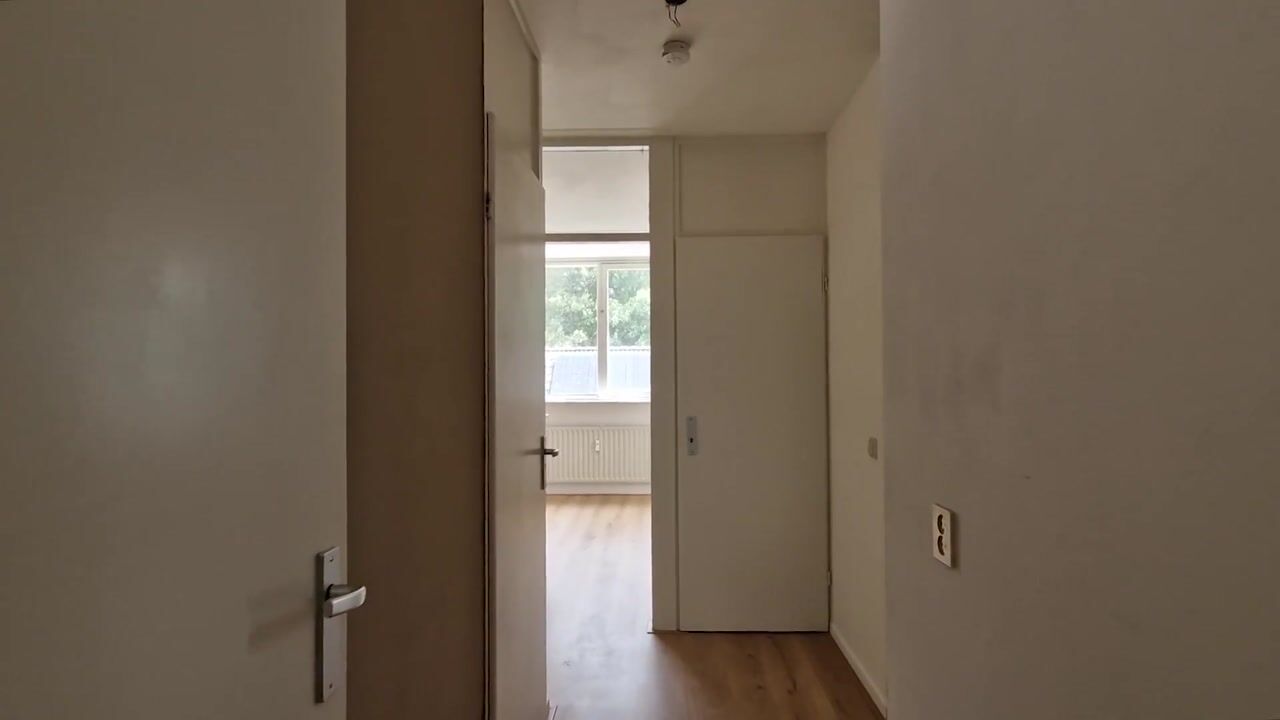 Video van De Zetter 47