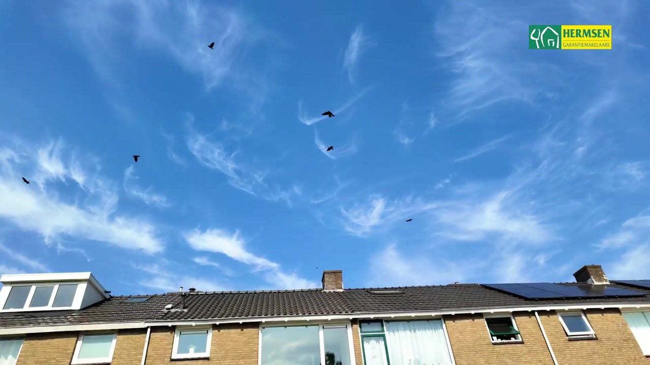 Video van Gitaarstraat 38