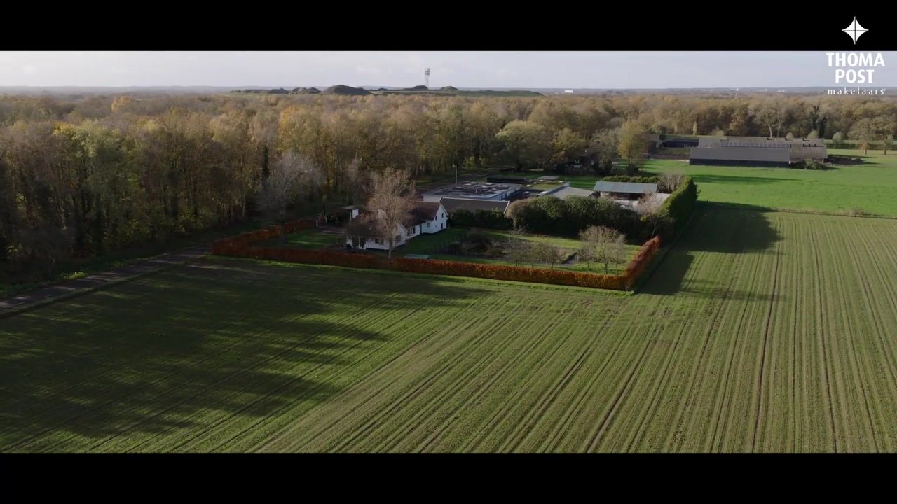 Video van Kneuterstraat 30