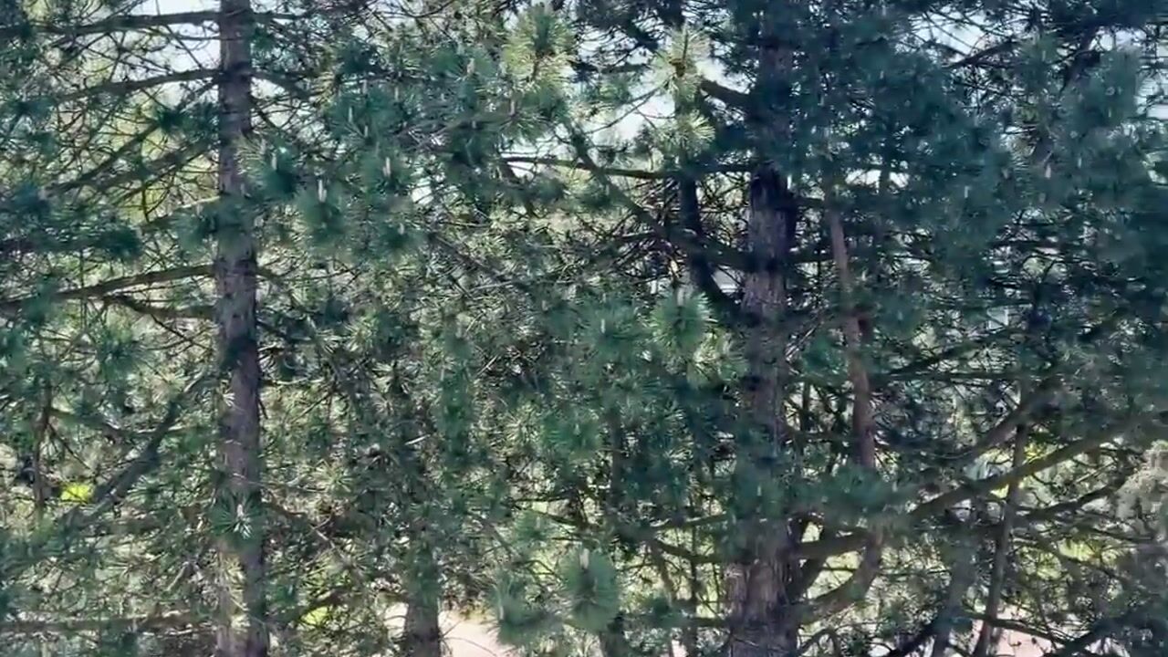 Video of Achtersteven 24