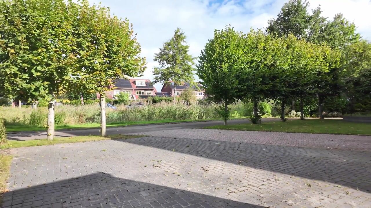 Video van Calvijnstraat 31
