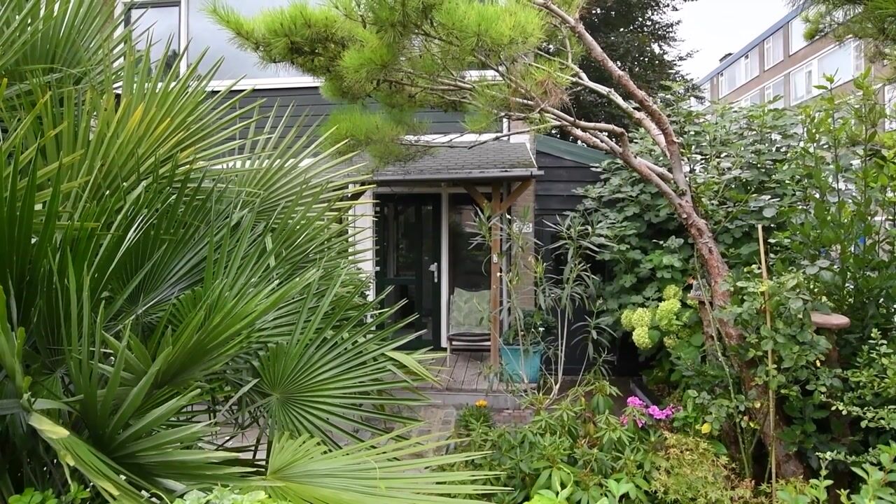 Video van Molièreweg 578